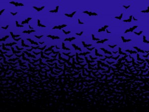 Bats at dusk
