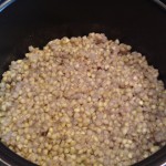 Buckwheat