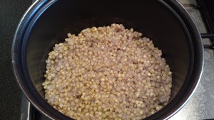 Buckwheat