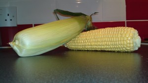 Corn on the cob