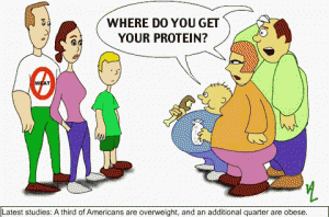 Where do vegans get their protein?