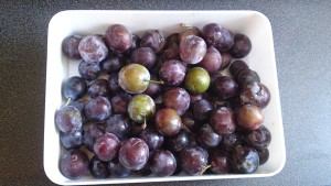 Organic British plums from my parents' garden