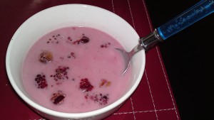 Red quinoa, blackberries, plums, agave nectar and coconut milk