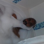 Me enjoying a lush bubble bath